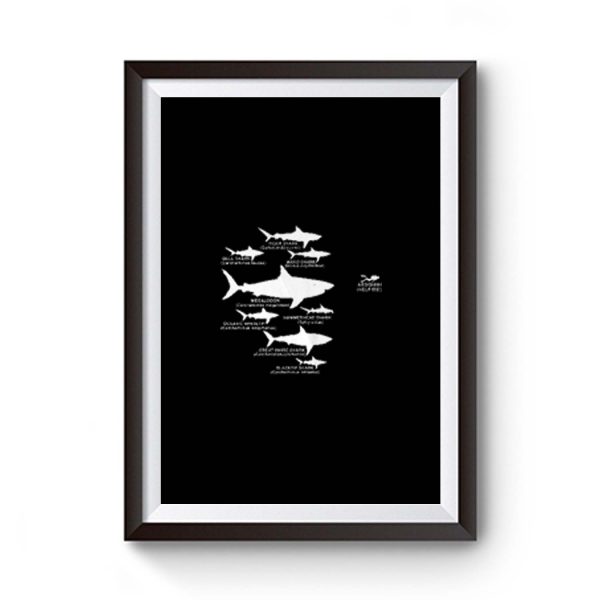 Shark Diving Premium Matte Poster - posterpict.com