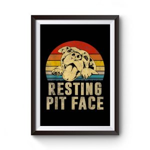 Dog Pitbull Resting Pit Face Vintage Premium Matte Poster