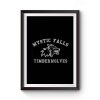 Mystic Falls Vampire Diaries Timberwolves Salvatore Premium Matte Poster