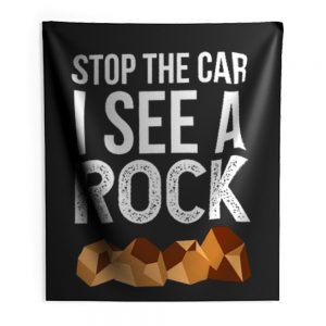 Stop The Car I See A Rock Indoor Wall Tapestry